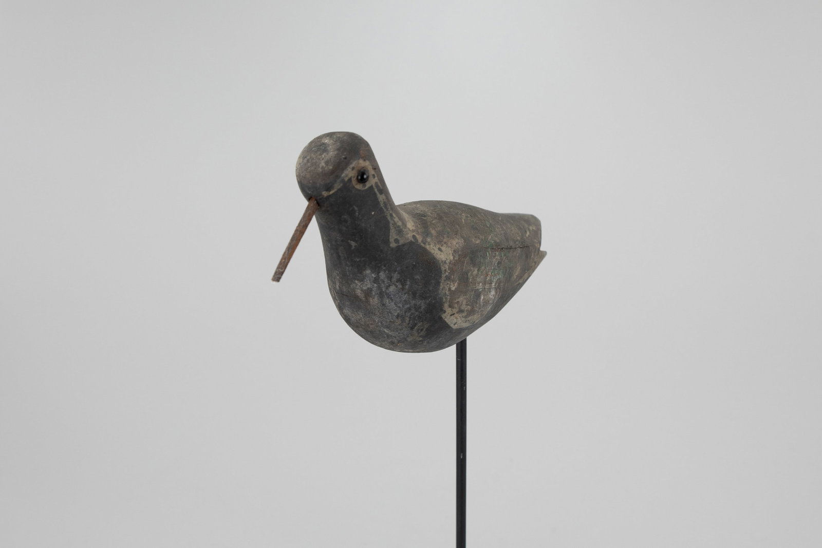 Beetle-Head Plover - 5