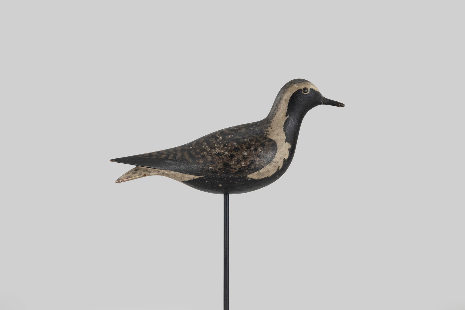 The McCleery-Holmes Plover by Lothrop Holmes (1824-1899) (1 of 10)