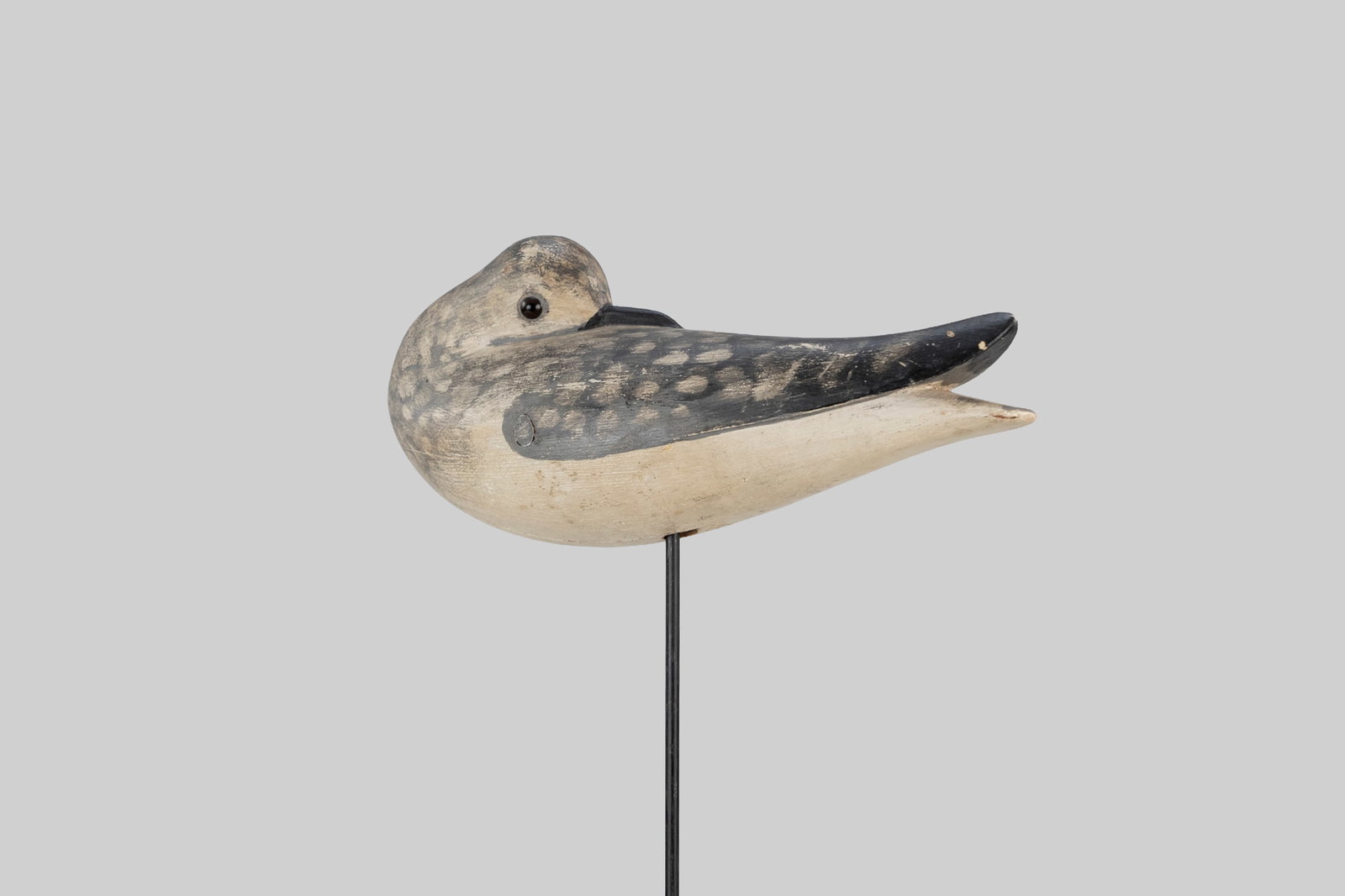 Mackey-Lawrence Sleeping Plover by Melvin Gardner Lawrence (1880-1930) (1 of 6)