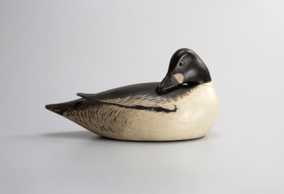The Nye Preening Goldeneye by A. Elmer Crowell (1862-1952) (1 of 9)