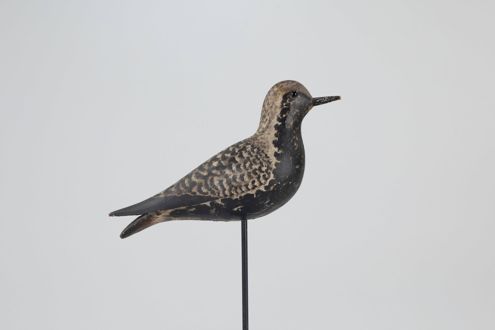 P.W.W. Black-Bellied Plover by A. Elmer Crowell (1862-1952) (1 of 9)
