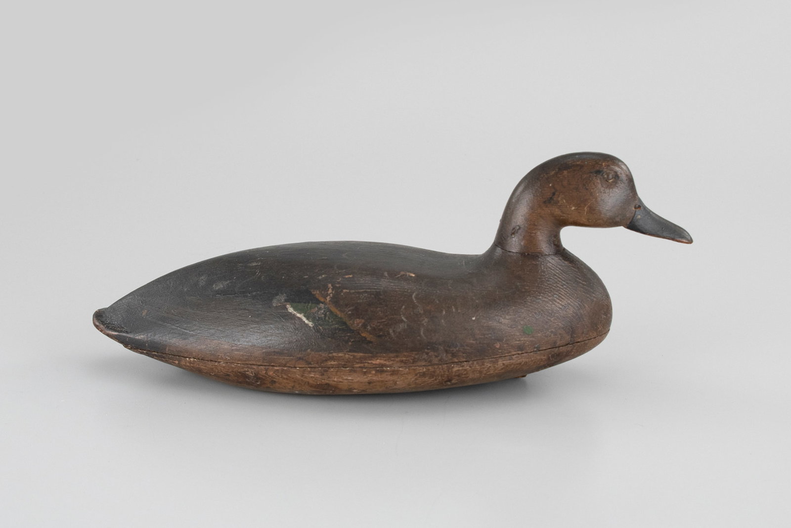 Rare Green-Winged Teal by John Blair Sr. (1843-1929) (1 of 7)