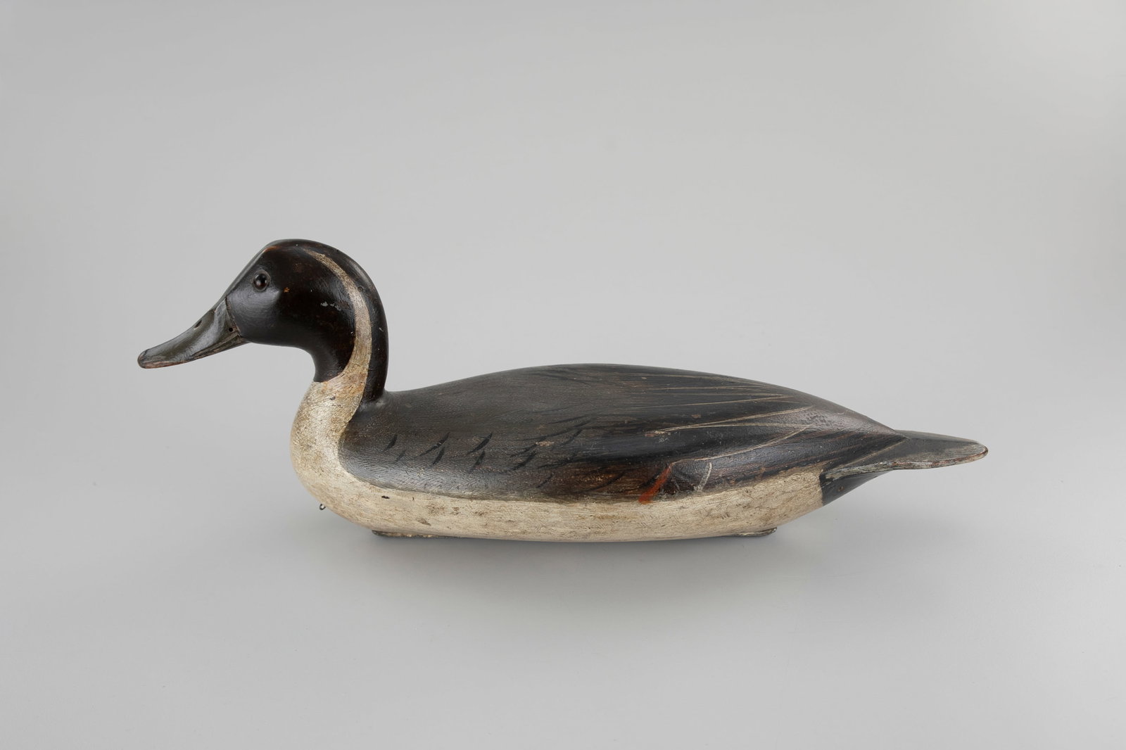 Haertel Elliston Pintail Drake by Robert Elliston (1847-1925) (1 of 5)