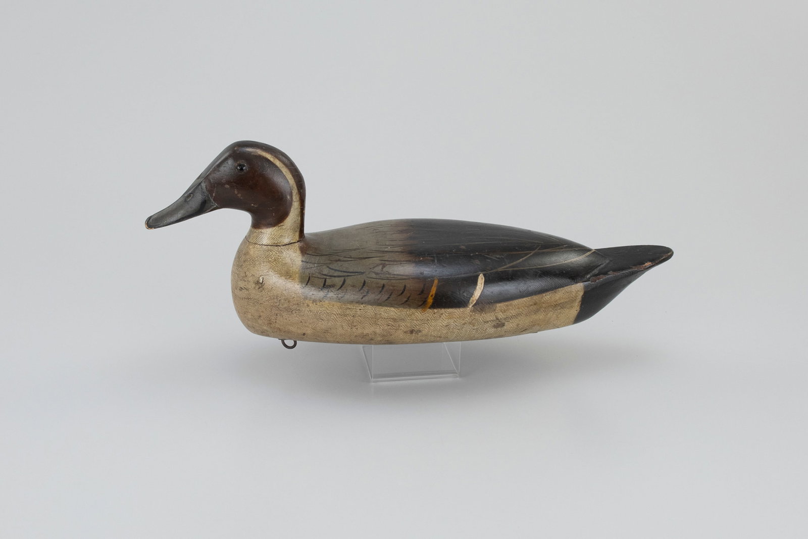 Pintail Drake by Bert Graves (1880-1956) (1 of 5)