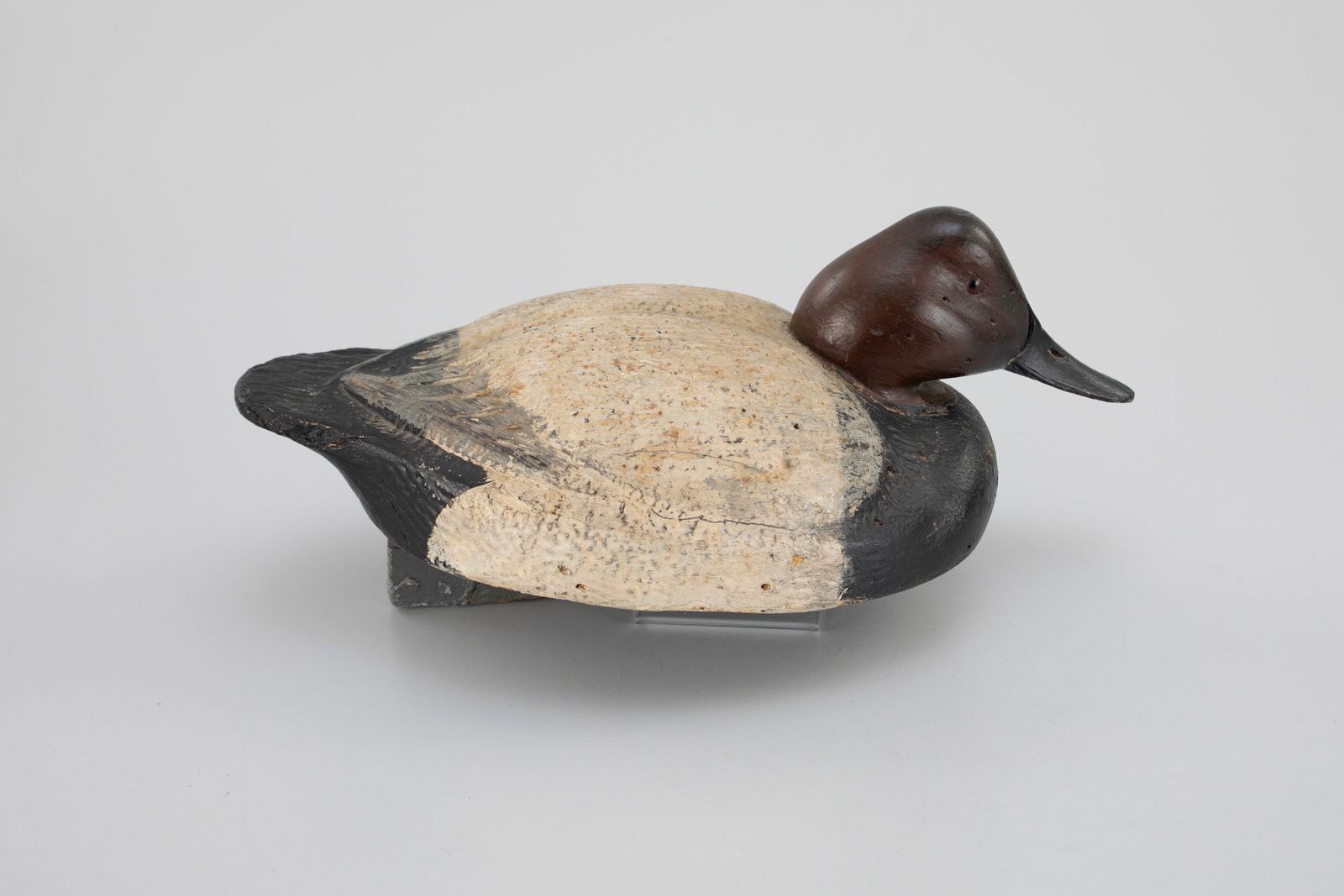 Canvasback Drake by James Kelson (1888-1968) (1 of 4)