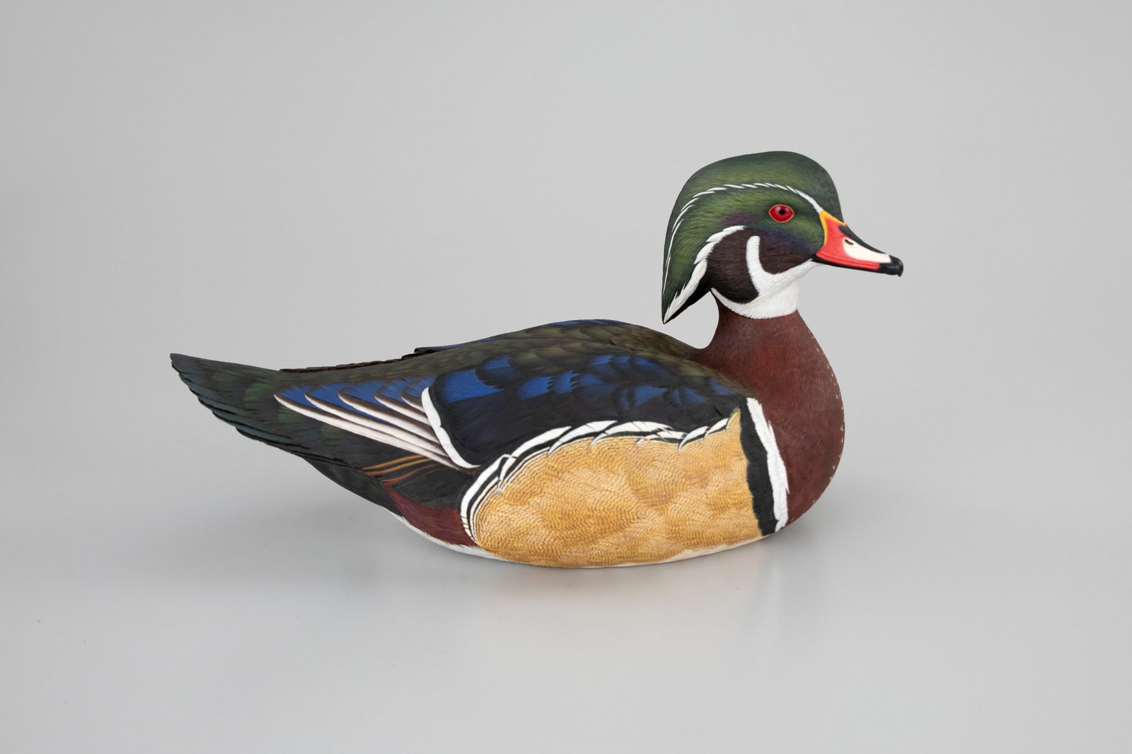 Wood Duck by Jason Lucio (b. 1970) (1 of 5)
