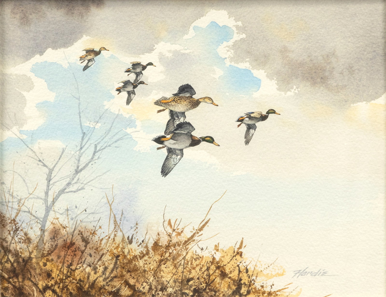 Eldridge Hardie (1940-2021), Mallards (1 of 3)
