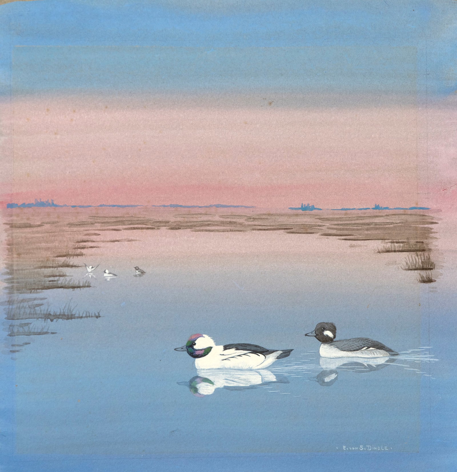 Edward Von Siebold Dingle (1893-1975), Bufflehead Pair (1 of 2)