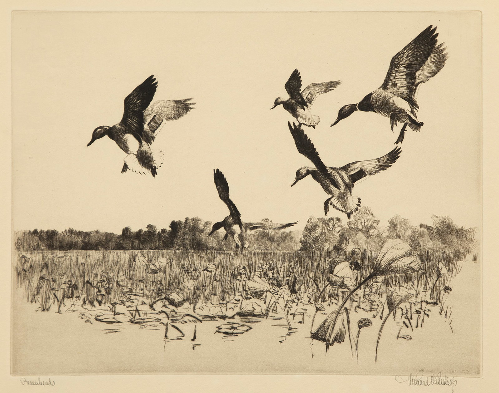 Richard E. Bishop (1887-1975), Greenheads, Mallards (1 of 3)