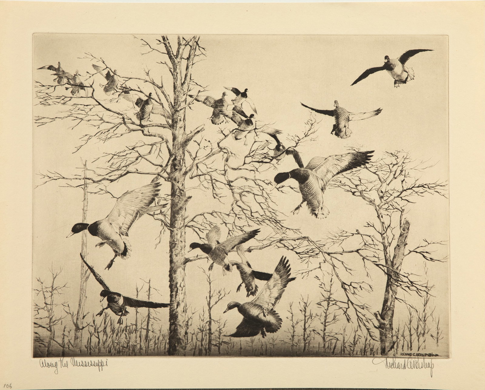 Richard E. Bishop (1887-1975), Along the Mississippi, Mallards (1 of 2)