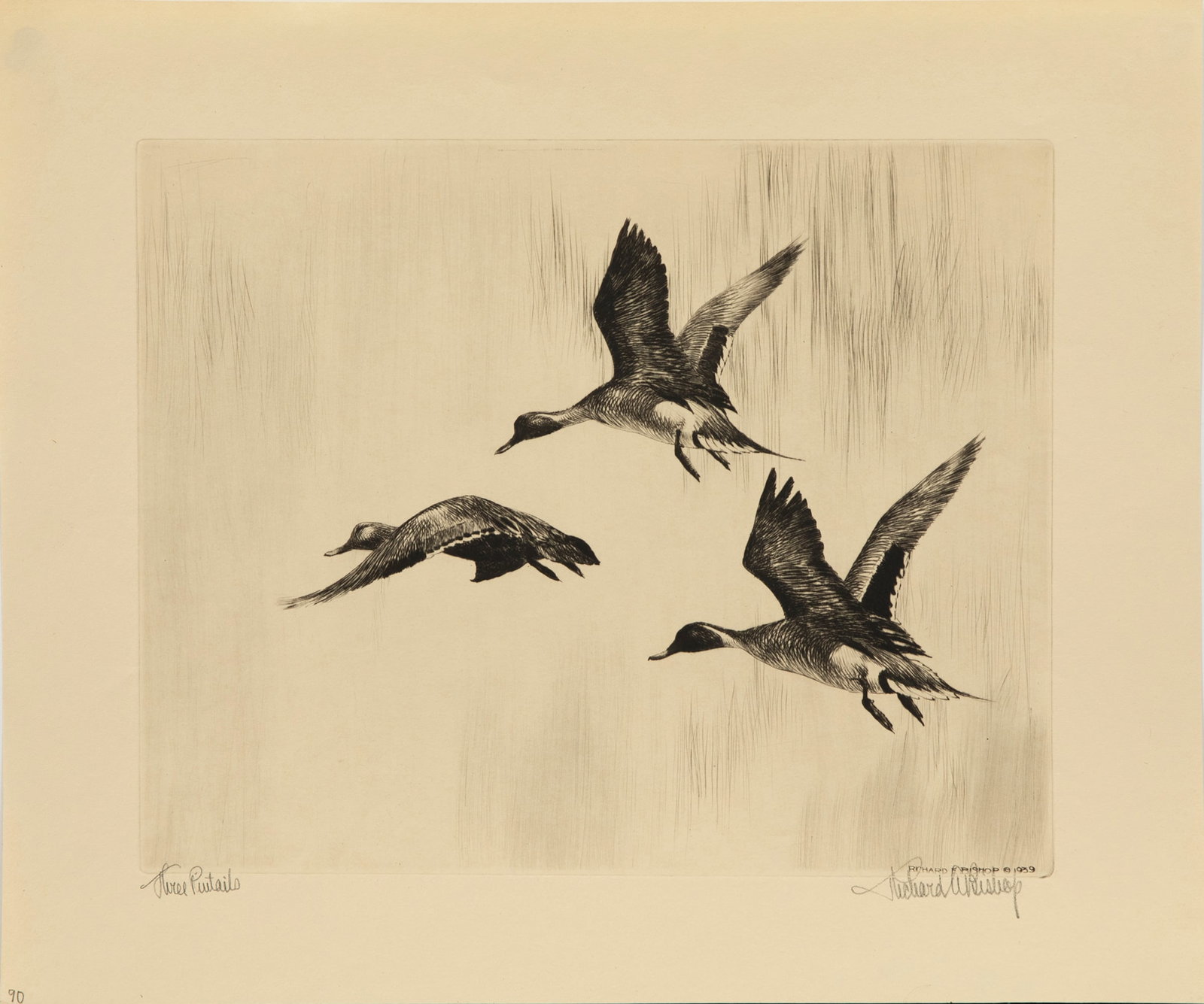 Richard E. Bishop (1887-1975), Three Pintails (1 of 2)