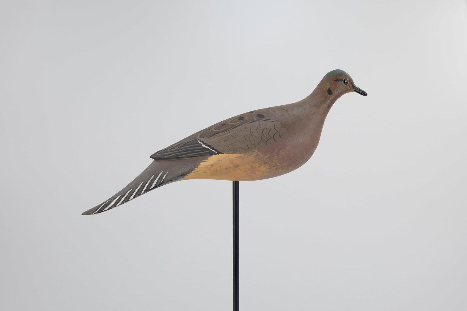Mourning Dove by Robert "Bob" White (b. 1939) (1 of 5)