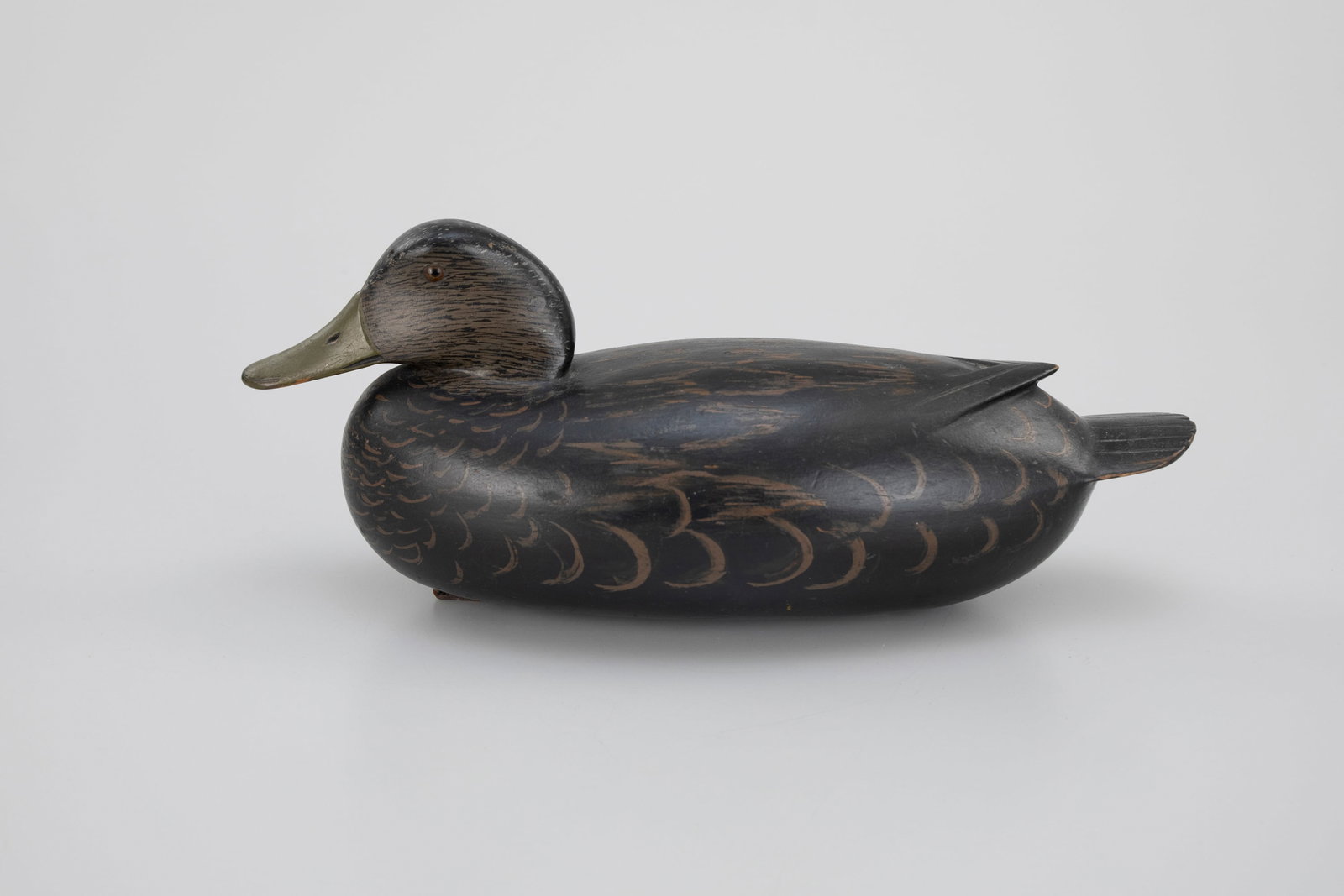 Outstanding Black Duck by Daniel G. English (1883-1962) (1 of 5)