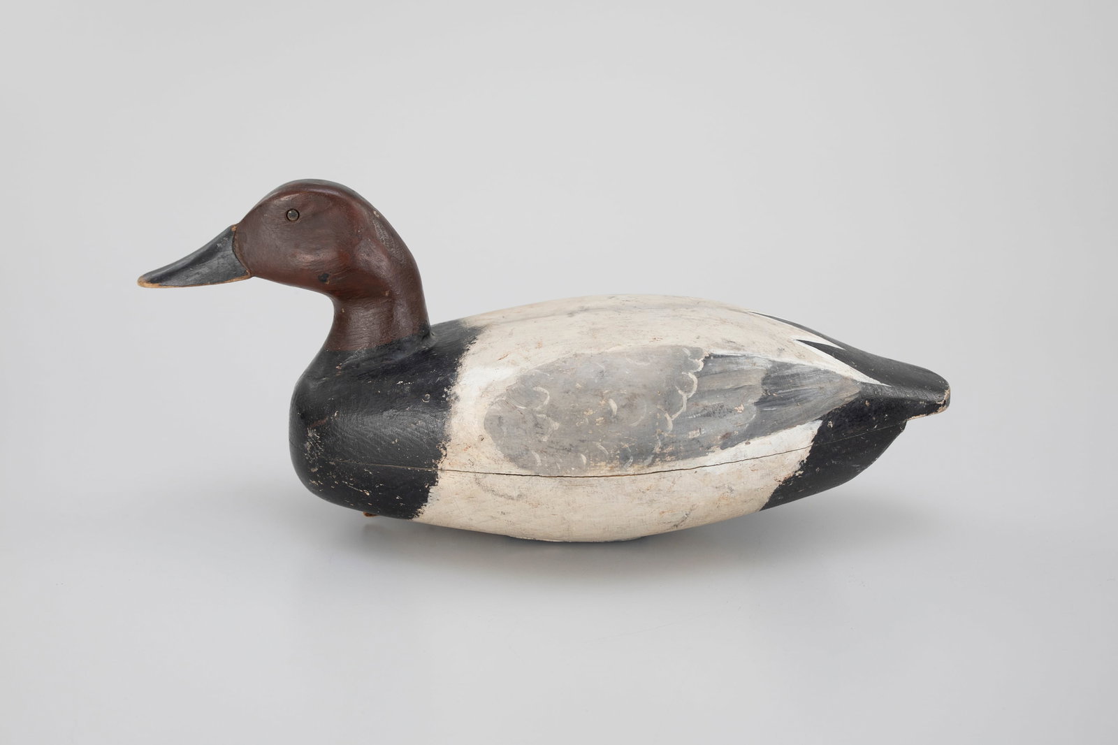 Canvasback Drake by Clark Madara (1883-1953) (1 of 5)