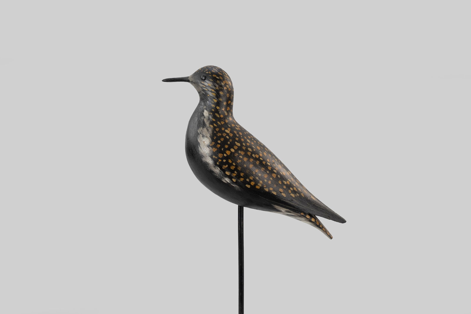 Sherer Rig Golden Plover by A. Elmer Crowell (1862-1952): Sherer Rig Golden Plover A. Elmer Crowell (1862-1952) East Harwich, MA, c. 1910 10 1/4 in. long This golden plover is a testament to the quality of Crowell's early workmanship. The provenance of this 