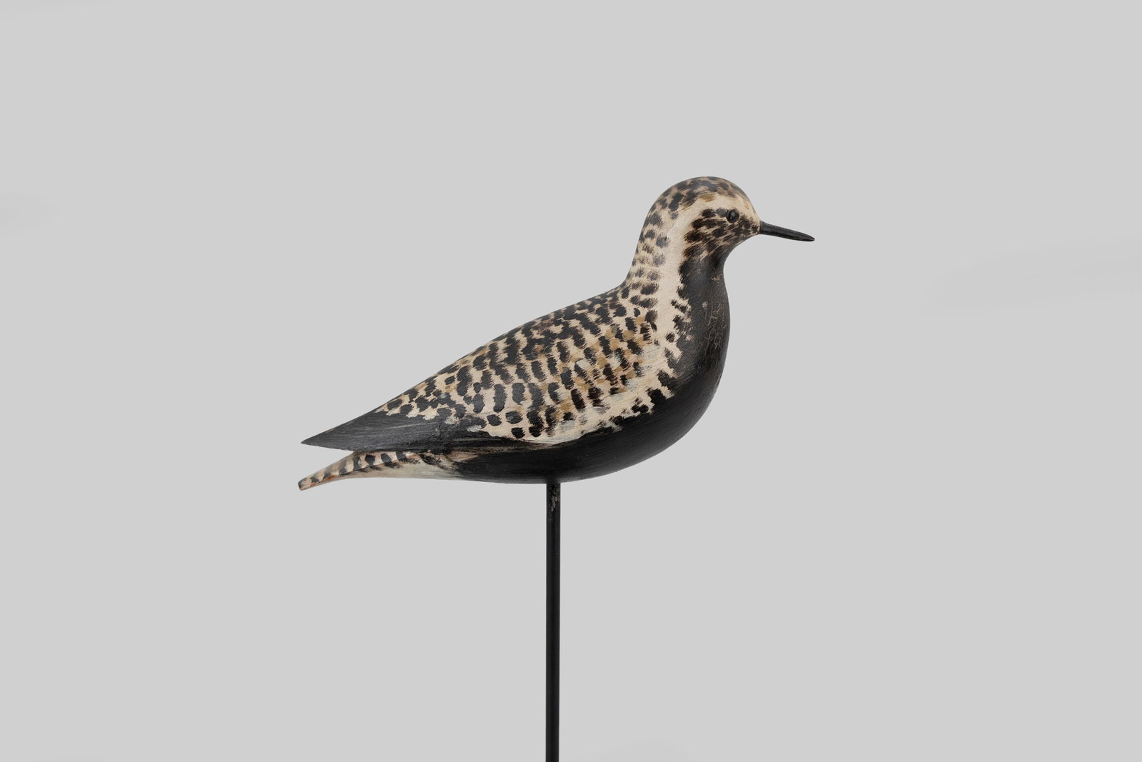 Sherer Rig Black-Bellied Plover by A. Elmer Crowell (1862-1952) (1 of 6)