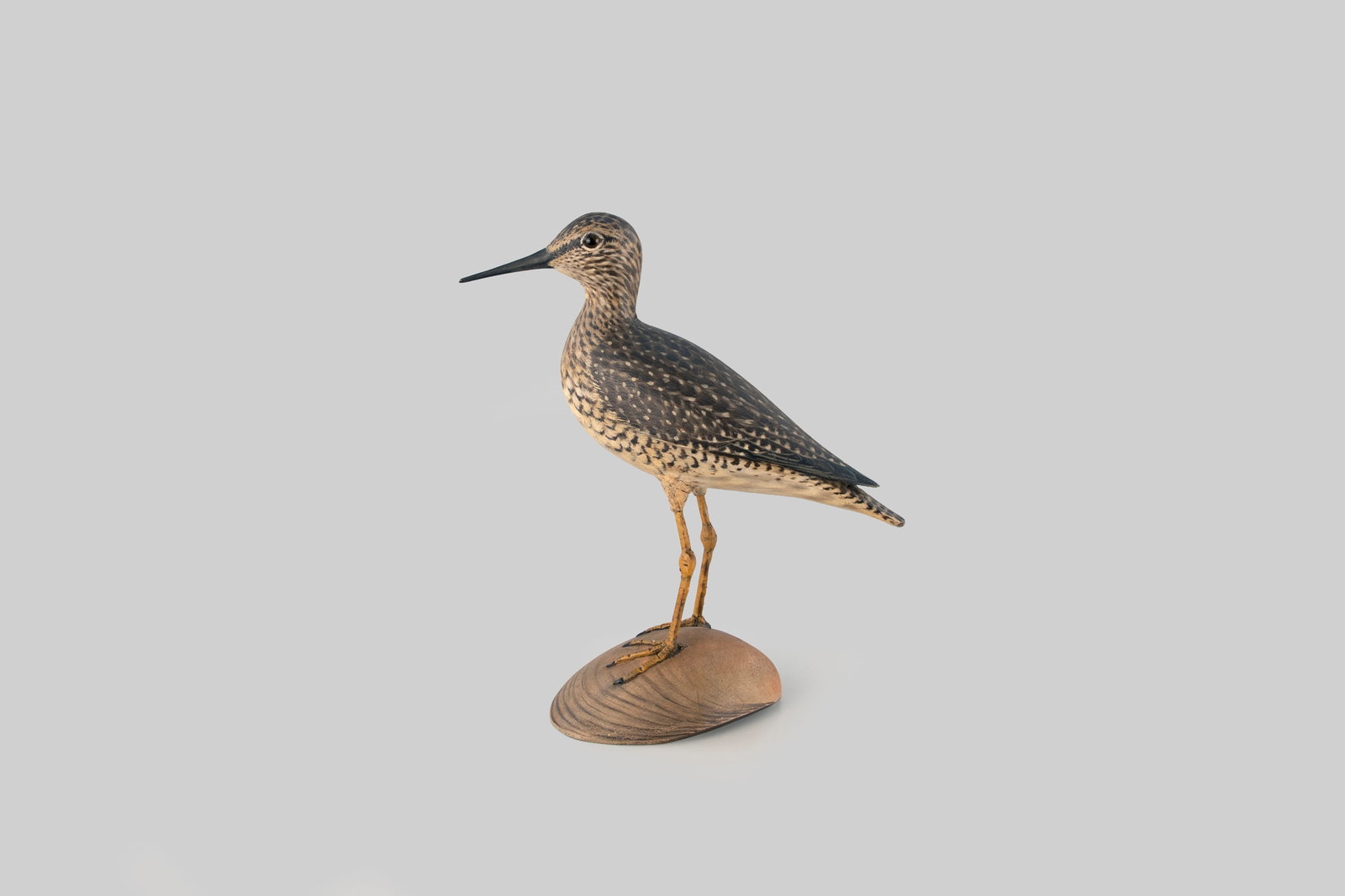 The Davenport Turned-Head Yellowlegs by A. Elmer Crowell (1862-1952) (1 of 5)