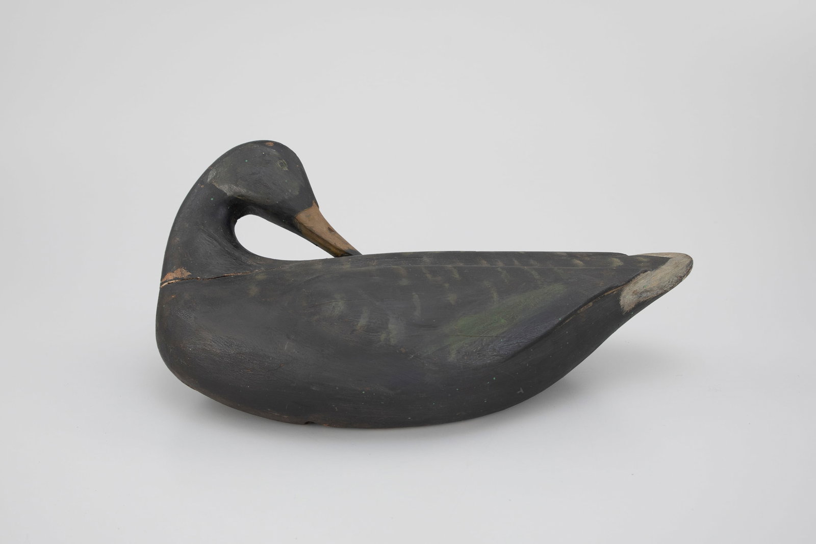 Preening Mallard Hen by Augustus "Gus" Aaron Wilson (1864-1950) (1 of 6)