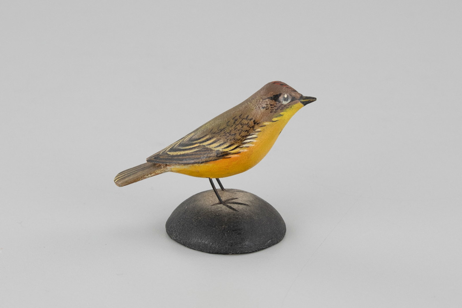 Miniature Nashville Warbler by A. Elmer Crowell (1862-1952) (1 of 5)