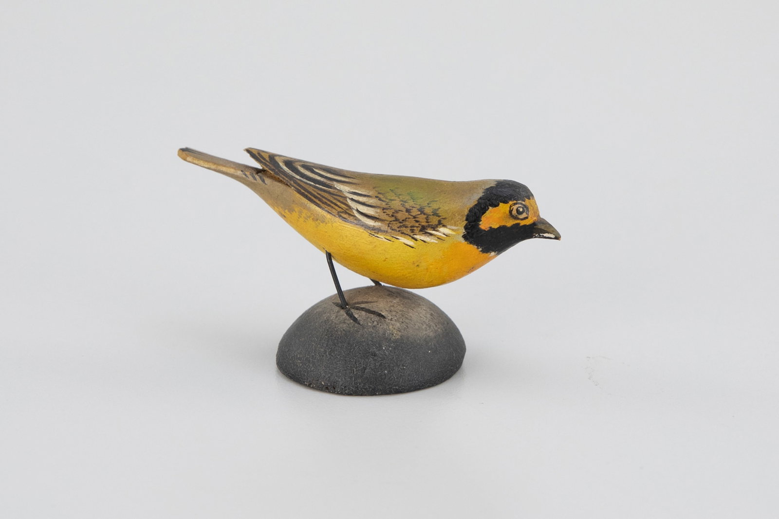 Miniature Hooded Warbler by A. Elmer Crowell (1862-1952) (1 of 5)