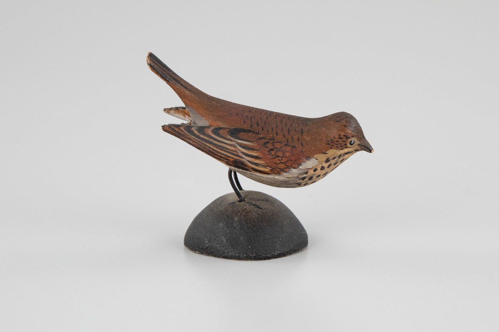 Early Miniature Veery by A. Elmer Crowell (1862-1952) (1 of 6)