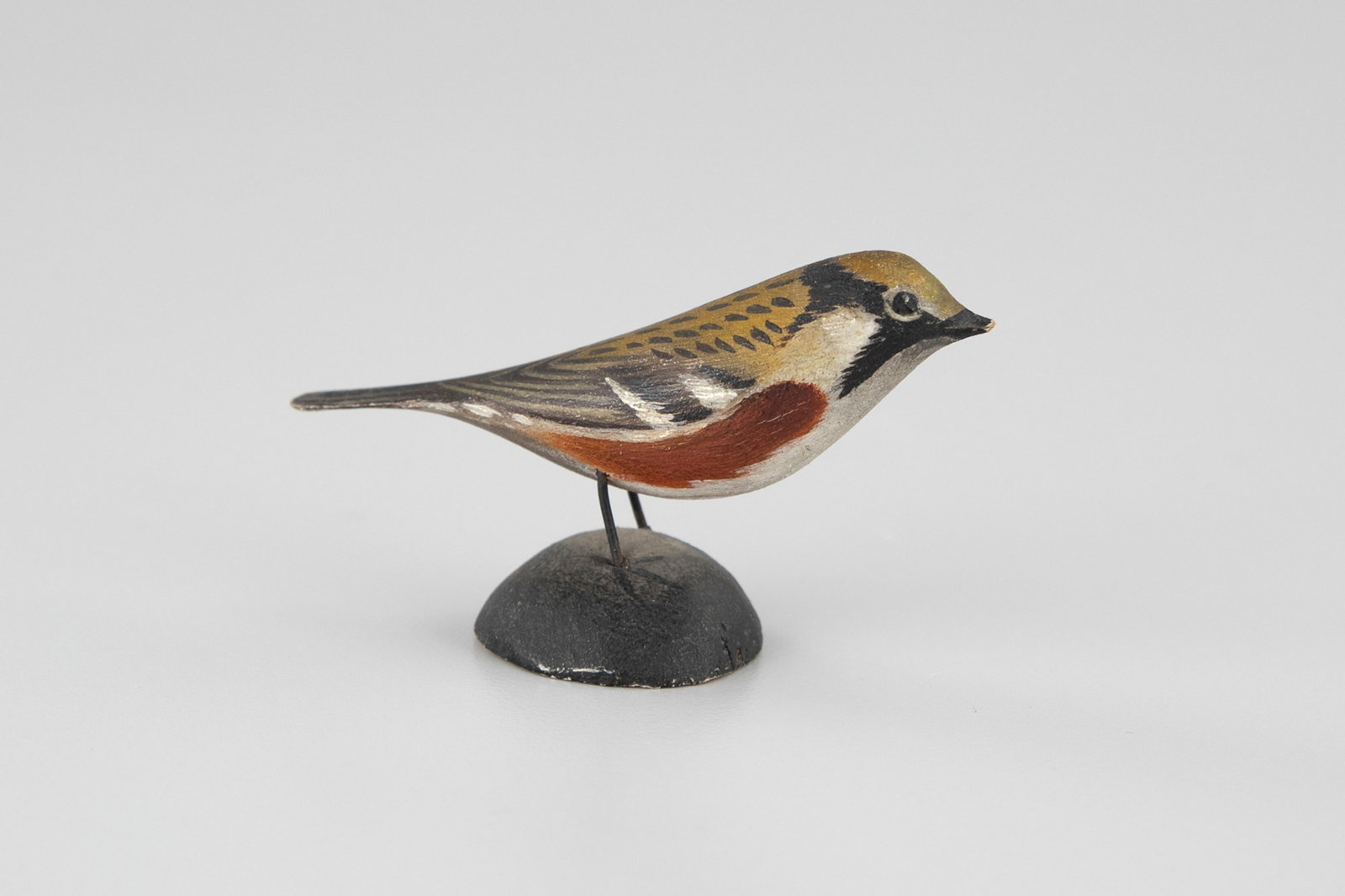 Early Miniature Chestnut-Sided Warbler by A. Elmer Crowell (1862-1952) (1 of 6)