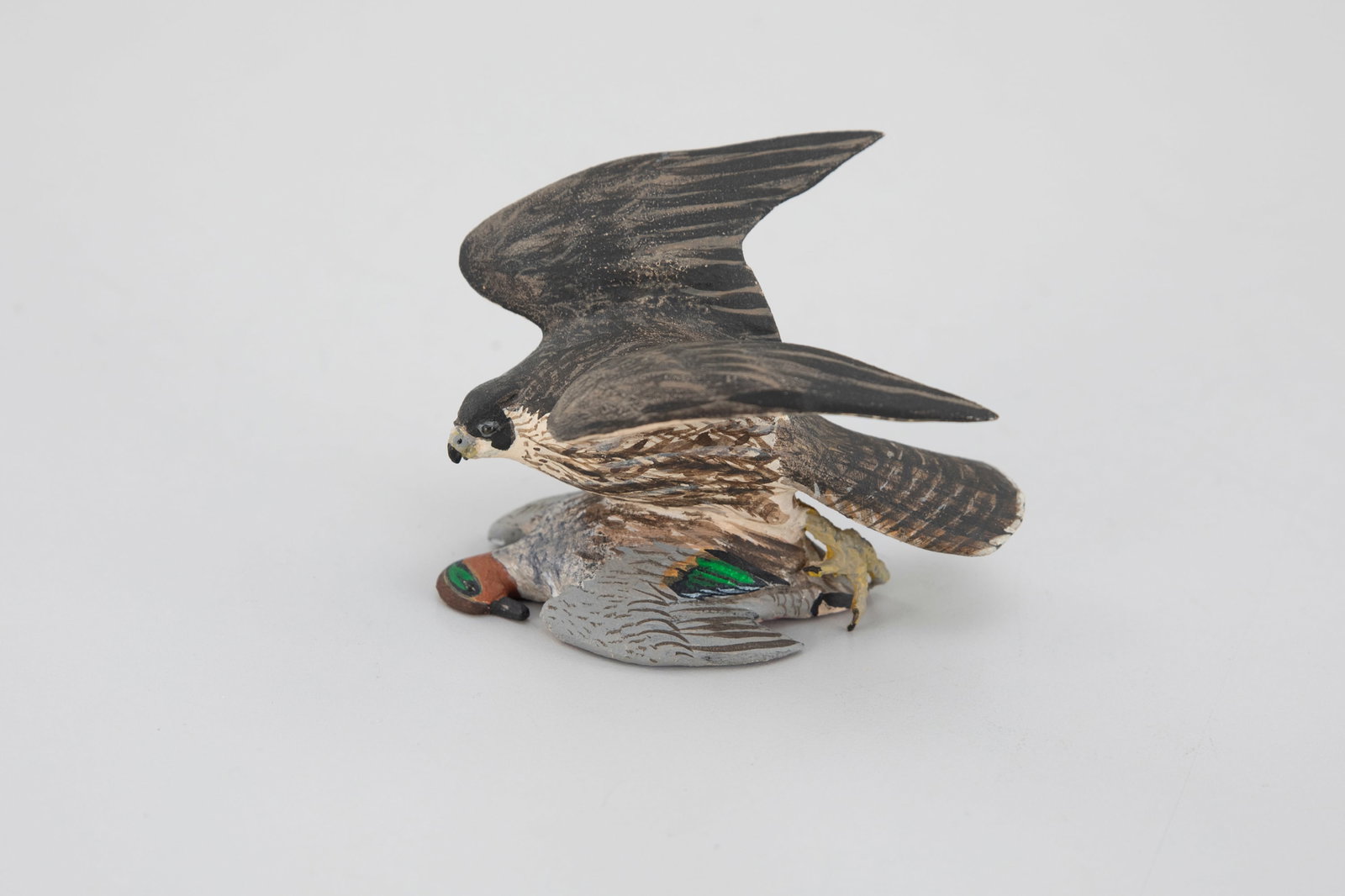 Miniature Peregrine Falcon with Green-Winged Teal by Brad Falkinburg (1 of 5)