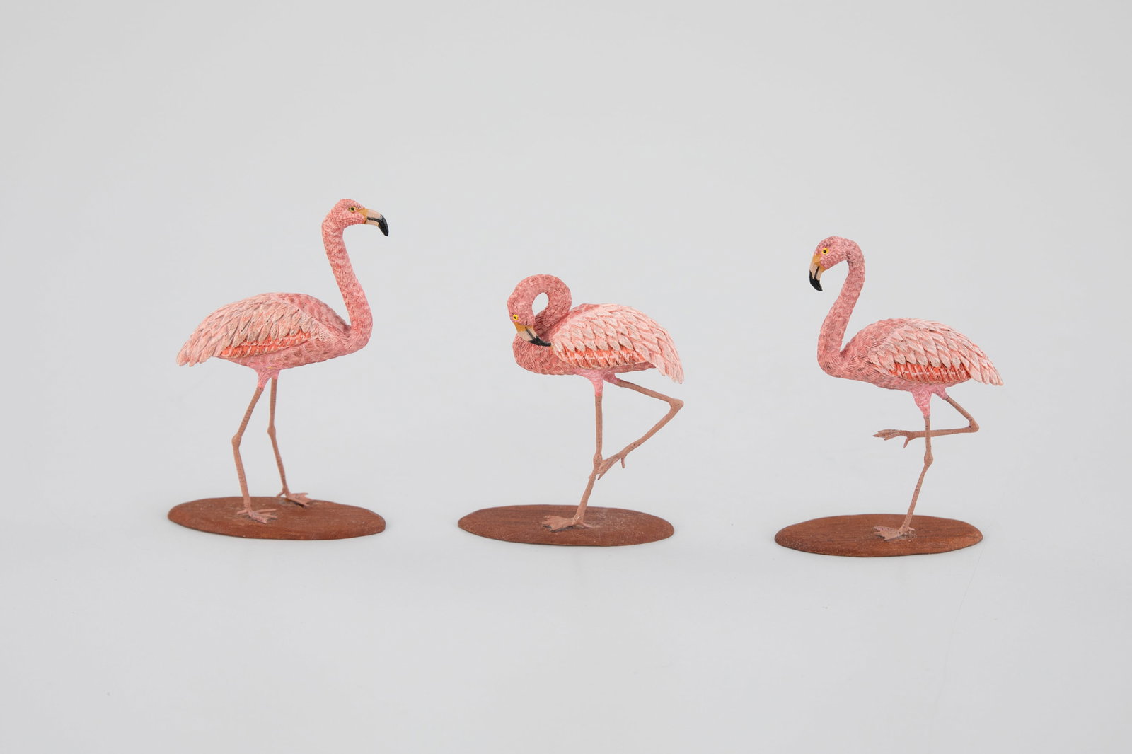 Miniature Greater Flamingo Trio by Doug Guy (1 of 5)