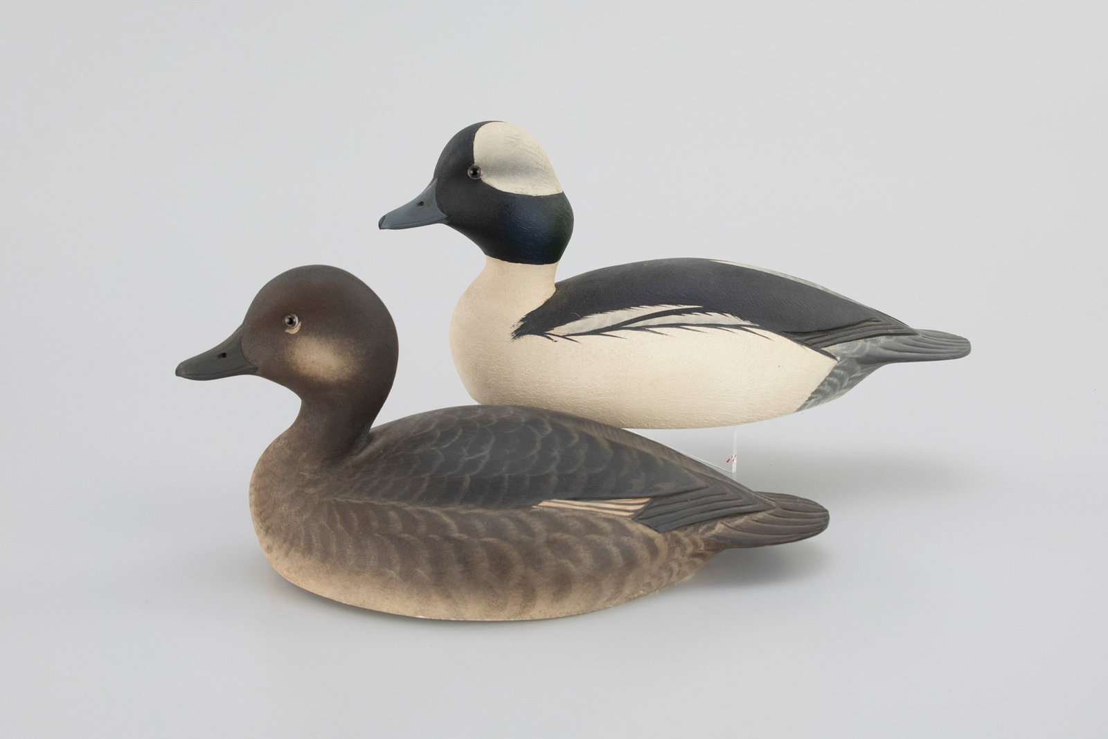 Bufflehead Pair by Marty Hanson (b. 1965) (1 of 5)