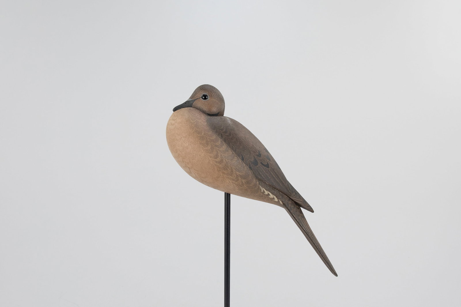 Tucked-Head Dove by Marty Hanson (b. 1965) (1 of 5)