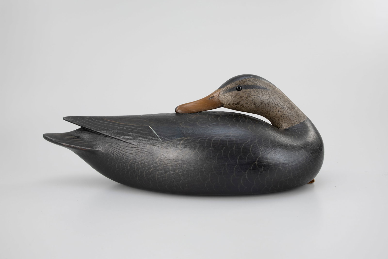 Preening Black Duck by Mark McNair (b. 1950) (1 of 5)