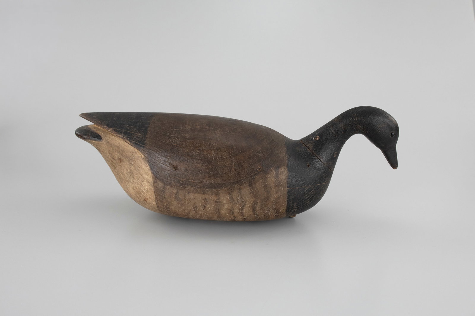 Feeding Cobb Brant by Mark McNair (b. 1950) (1 of 5)