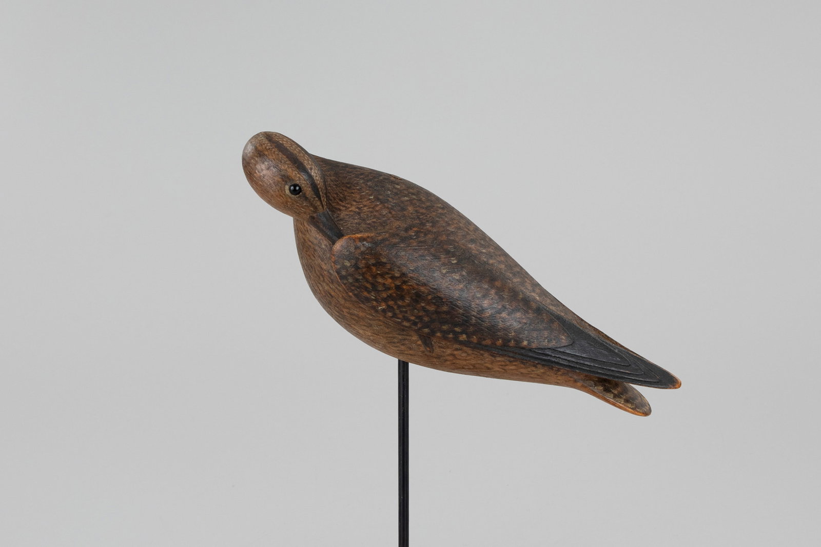 Tucked-Bill Curlew by Mark McNair (b. 1950) (1 of 5)