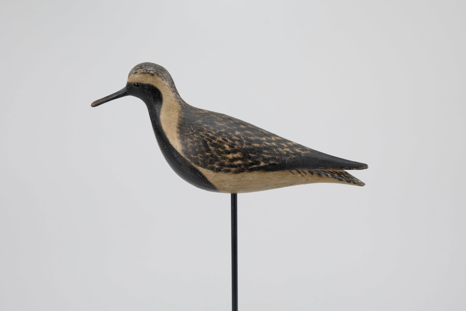 Black-Bellied Plover by Mark McNair (b. 1950) (1 of 5)