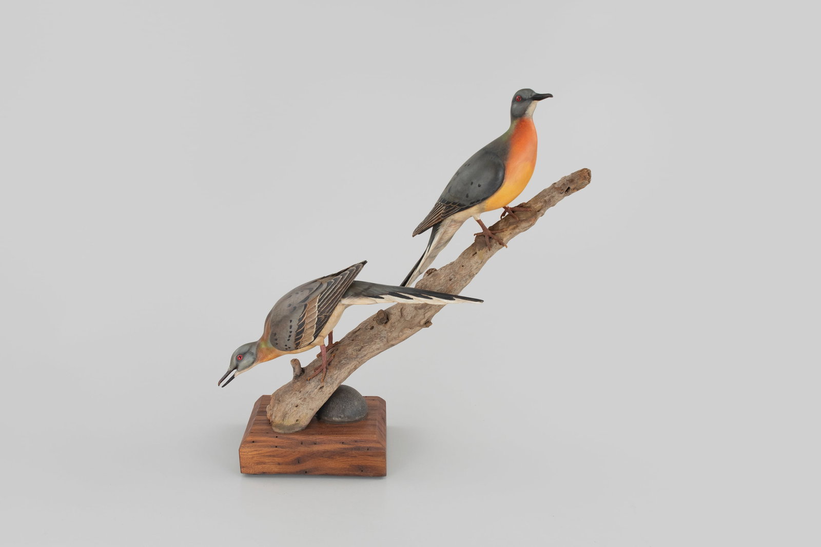 Passenger Pigeon Pair by William Gibian (b. 1946) (1 of 5)