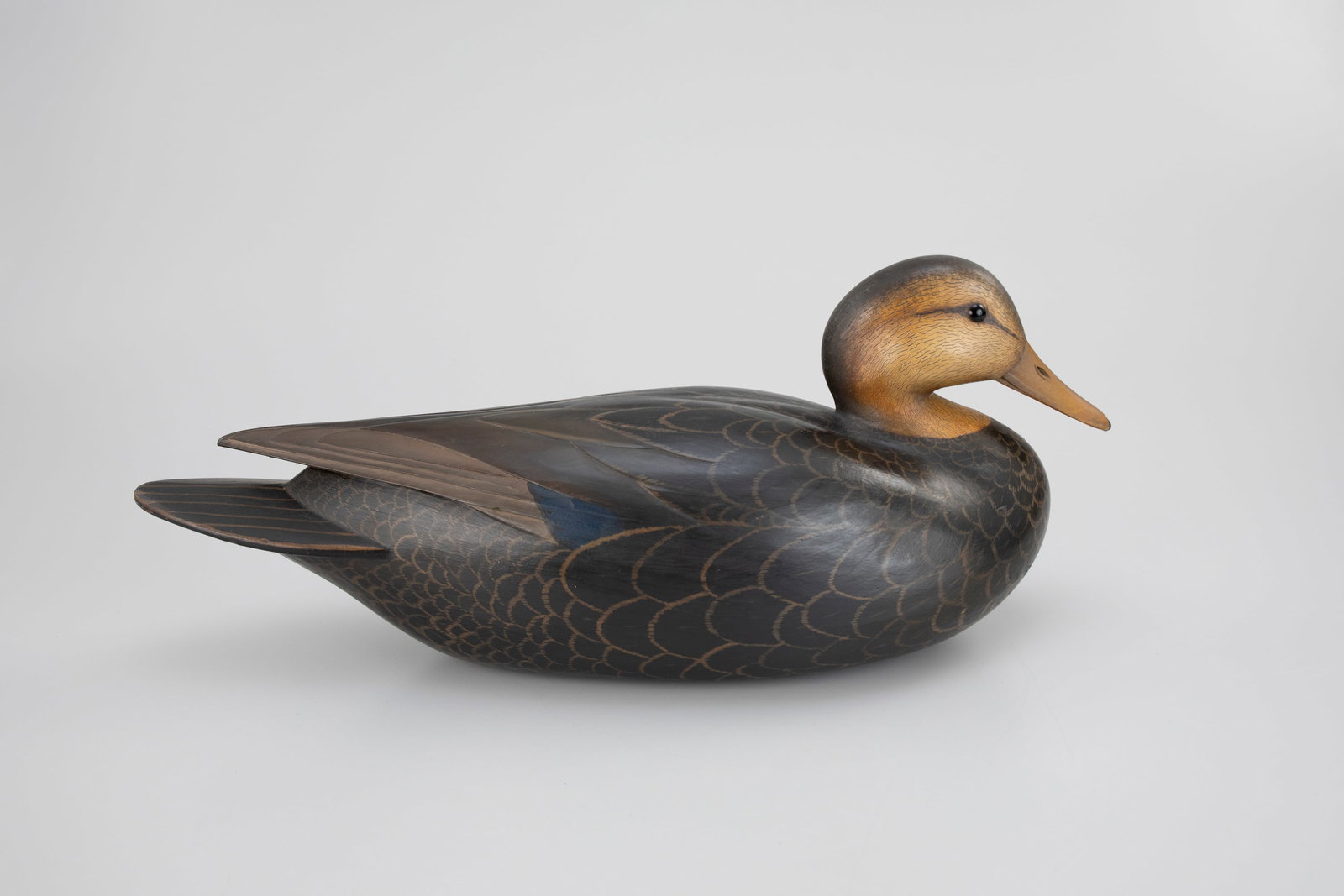 Black Duck by William Gibian (b. 1946) (1 of 5)