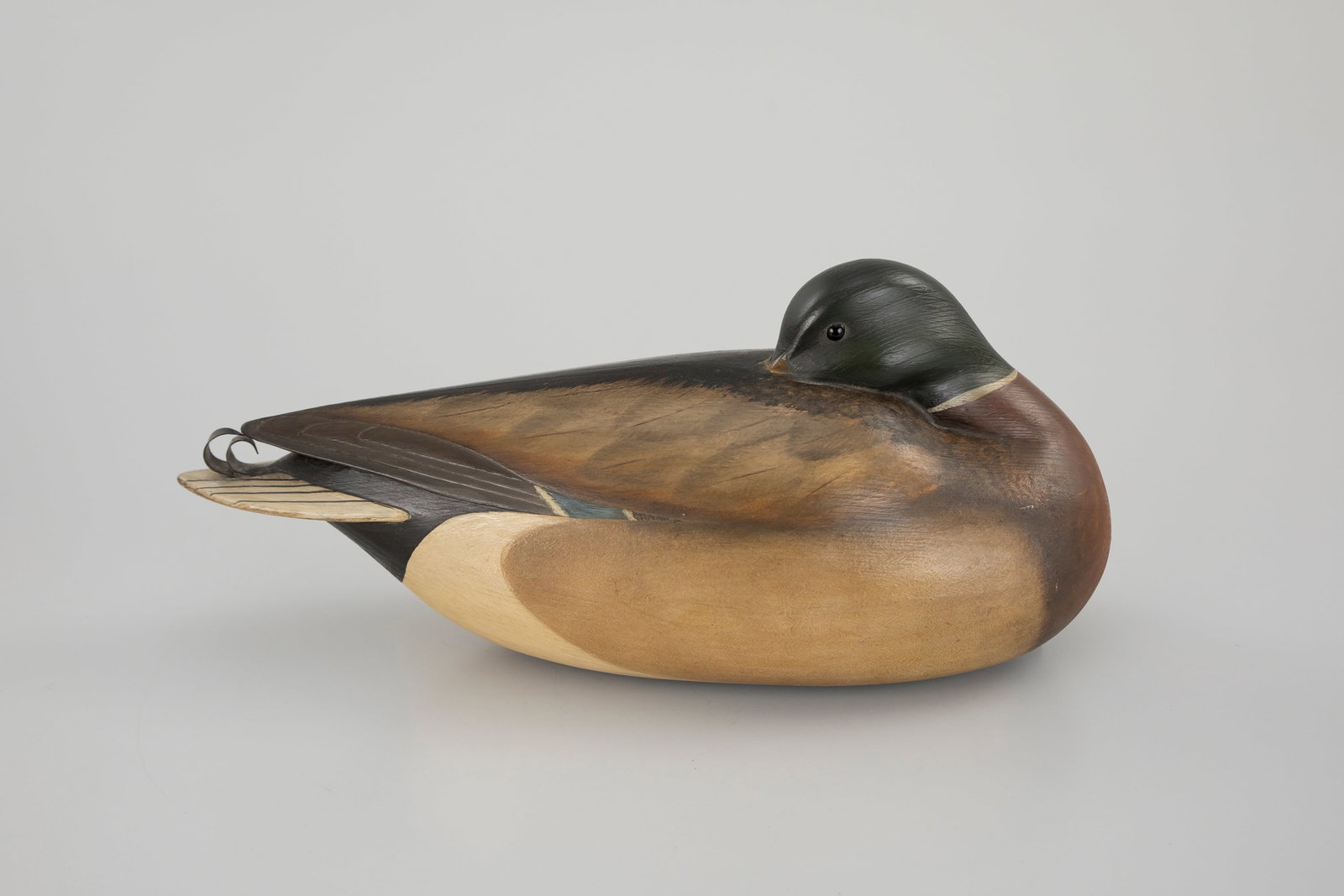 Preening Mallard by William Gibian (b. 1946) (1 of 5)