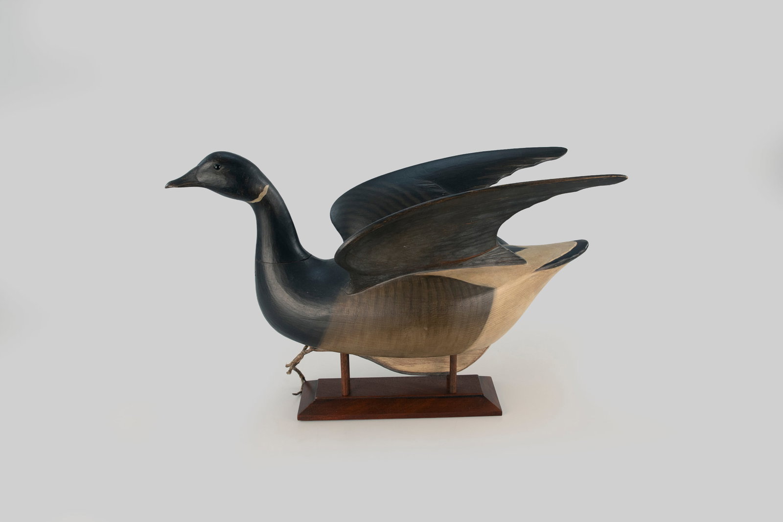 Alighting Brant by Josh Brewer (b. 1982) (1 of 9)