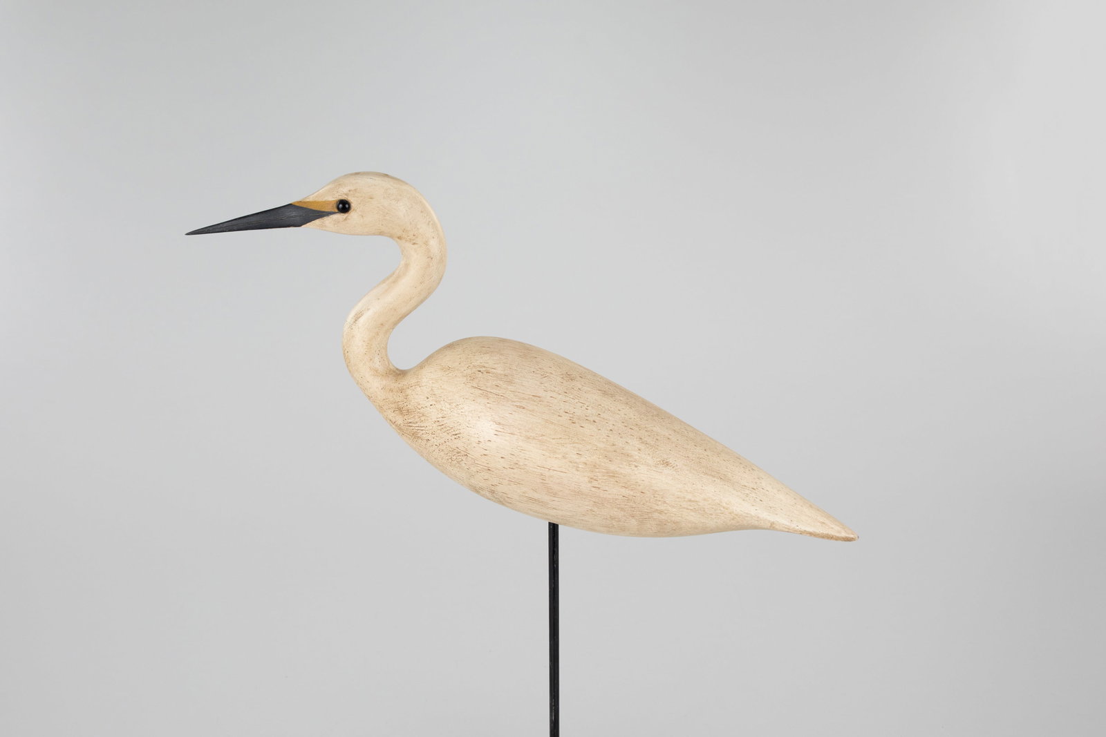 Early Snowy Egret by Frank Finney (b. 1947) (1 of 5)