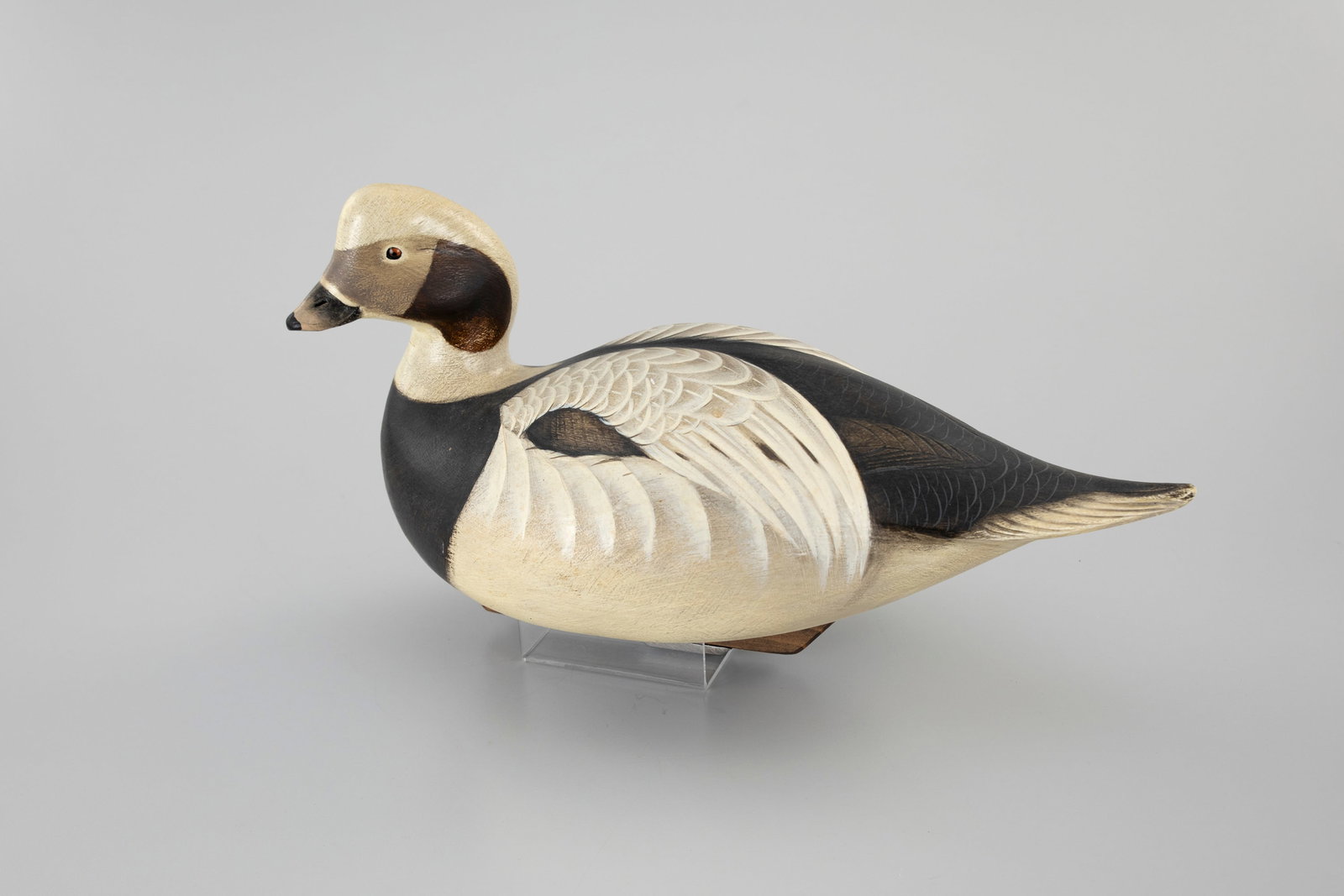 Long-Tailed Duck by Jim Schmiedlin (1945-2015) (1 of 5)