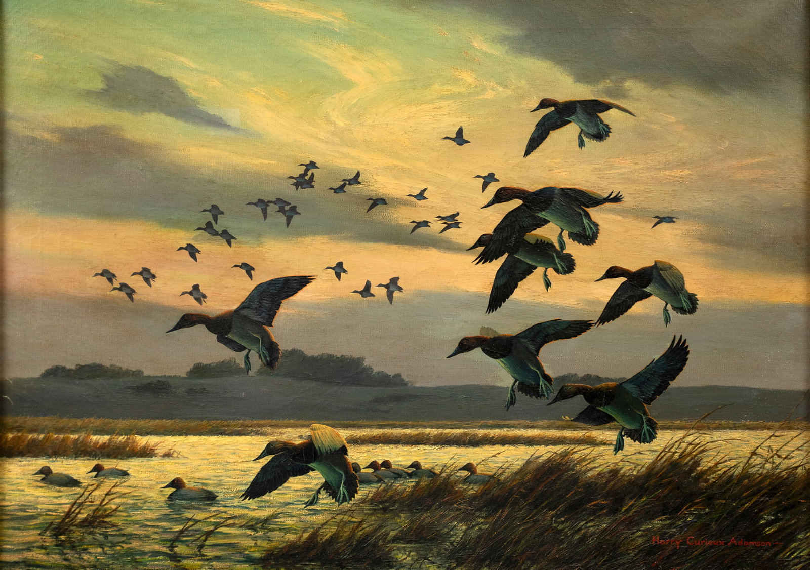 Harry Curieux Adamson (1916-2012), Canvasbacks (1 of 3)