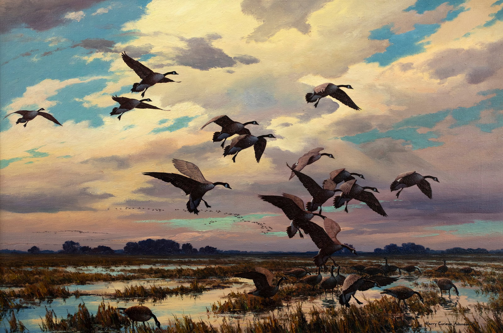 Harry Curieux Adamson (1916-2012), Canada Geese, Marsh Landing (1 of 2)