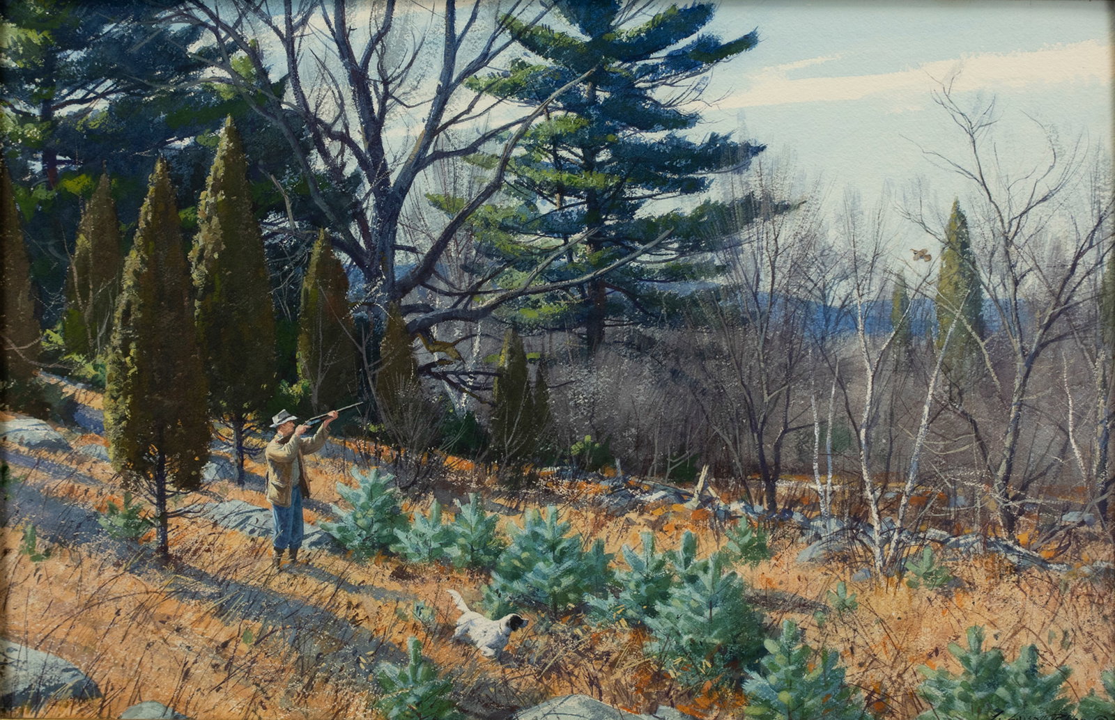 Aiden Lassell Ripley (1896-1969), A Wild Grouse (1 of 3)