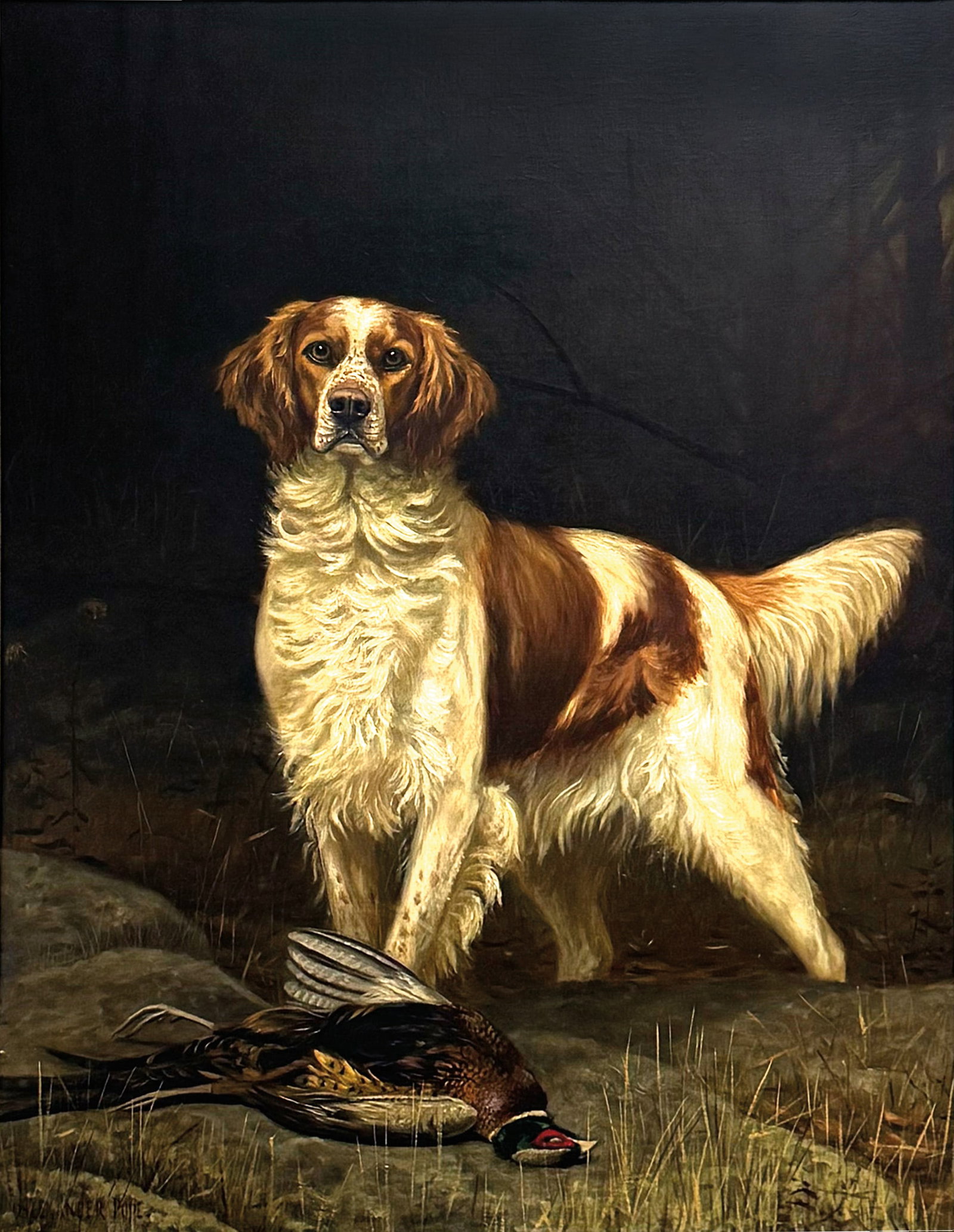 Alexander Pope Jr. (1849-1924), English Setter and Pheasant (1 of 3)