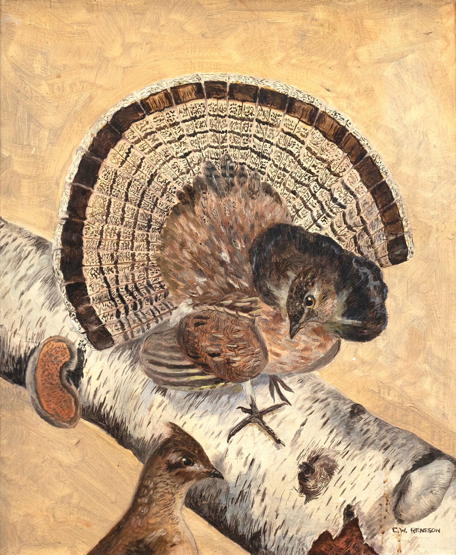 Chet Reneson (b. 1934), Ruffed Grouse (1 of 4)