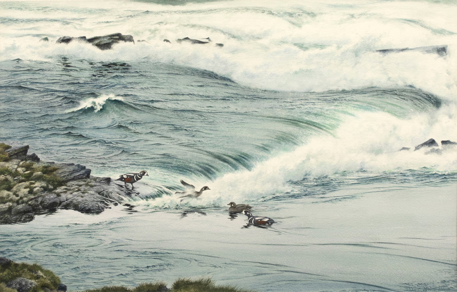 Robert Verity Clem (1933-2010), Harlequin Ducks (1 of 3)