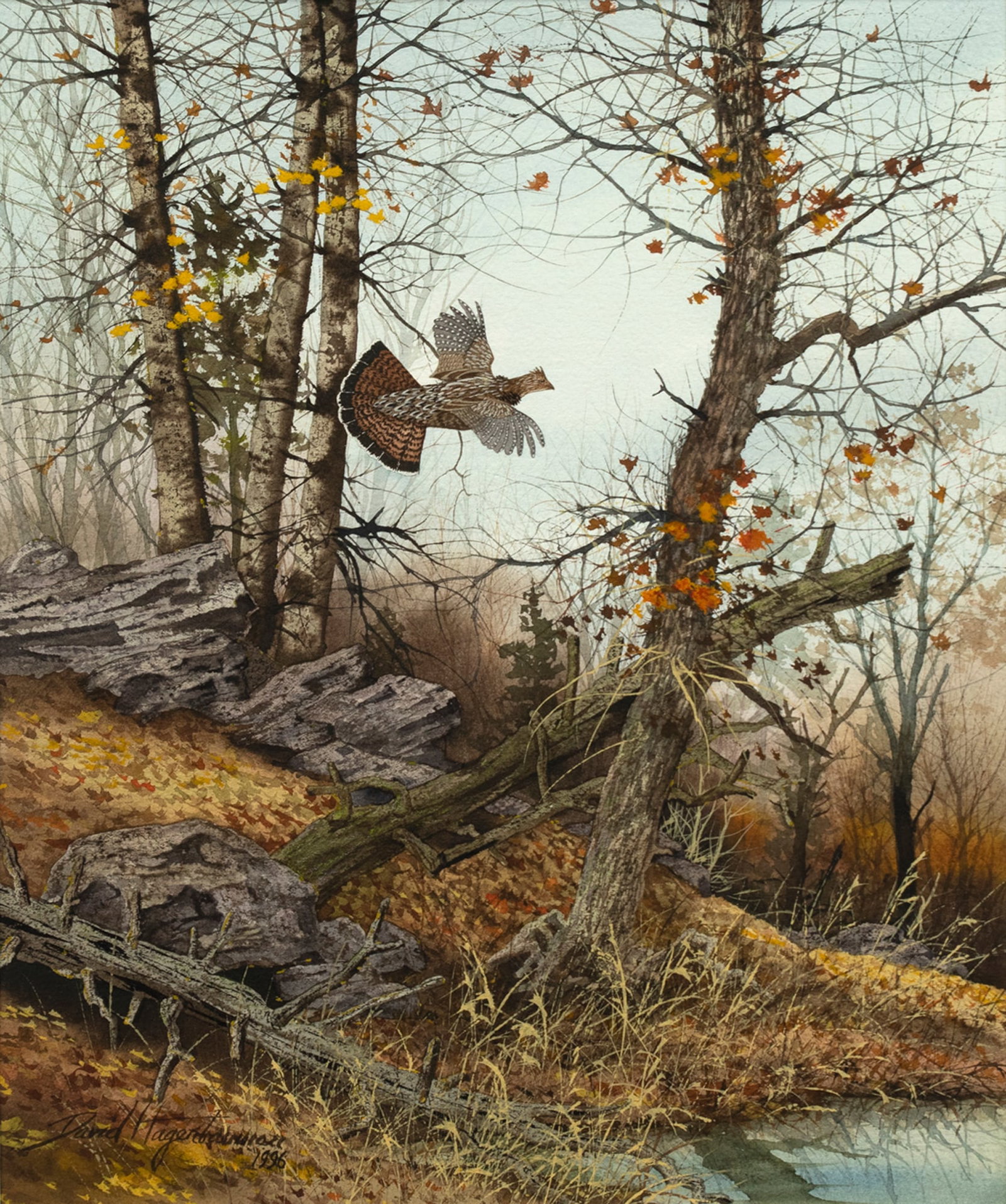 David A. Hagerbaumer (1921-2014), Ruffed Grouse (1 of 3)
