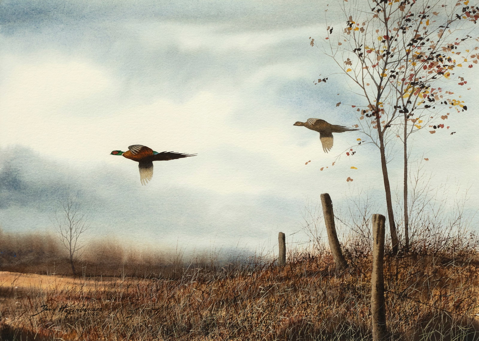 David A. Hagerbaumer (1921-2014), Pheasants (1 of 3)