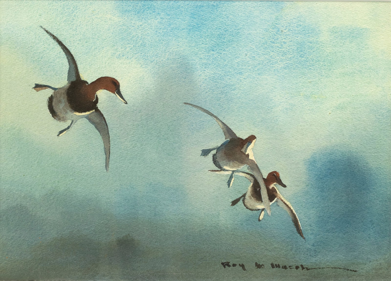 Roy Martell Mason (1886-1972), Canvasback Trio (1 of 3)