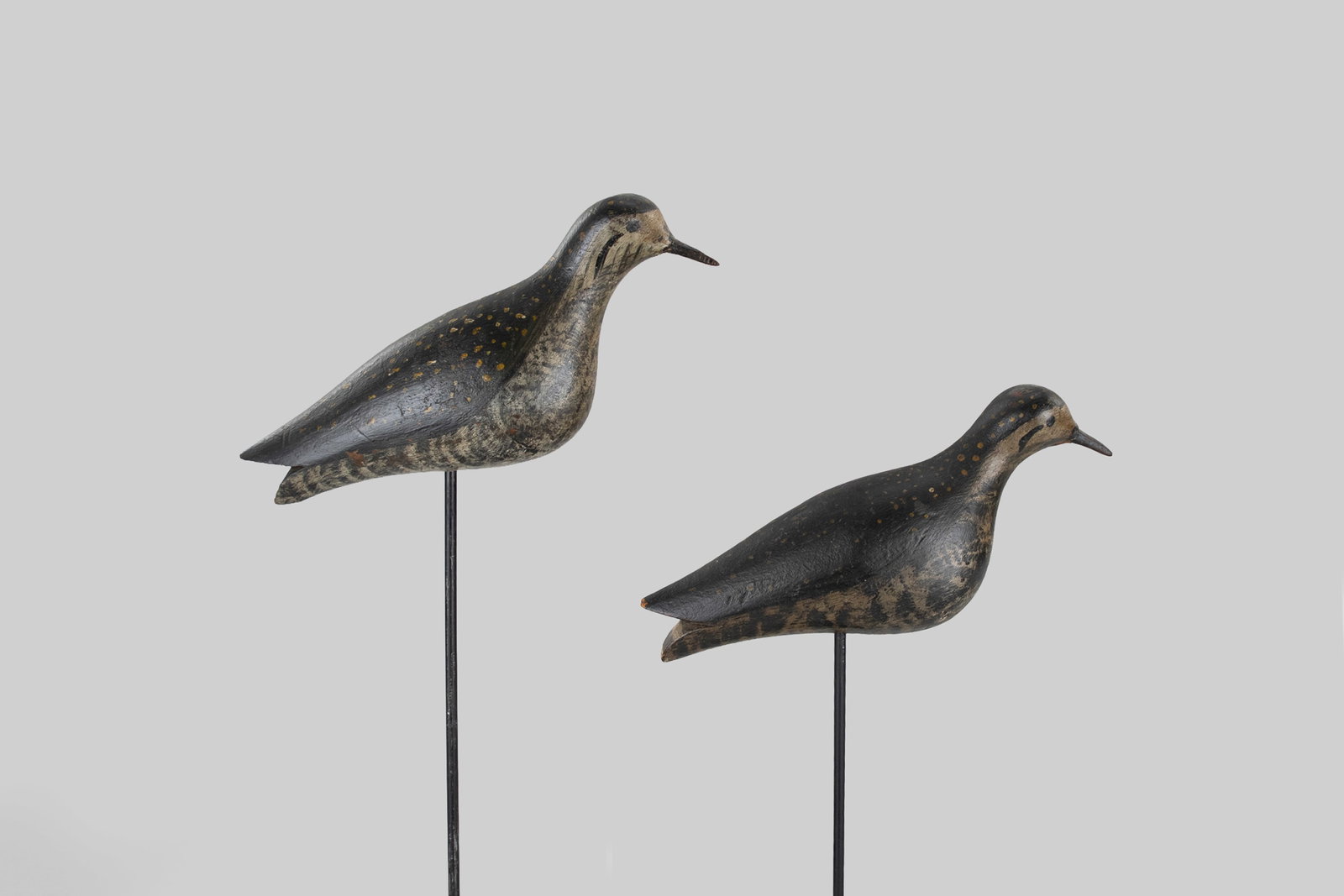 Golden Plover Pair (1 of 5)